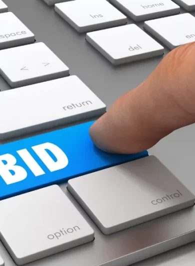 Appropriate Bidding. how to do this in property investments