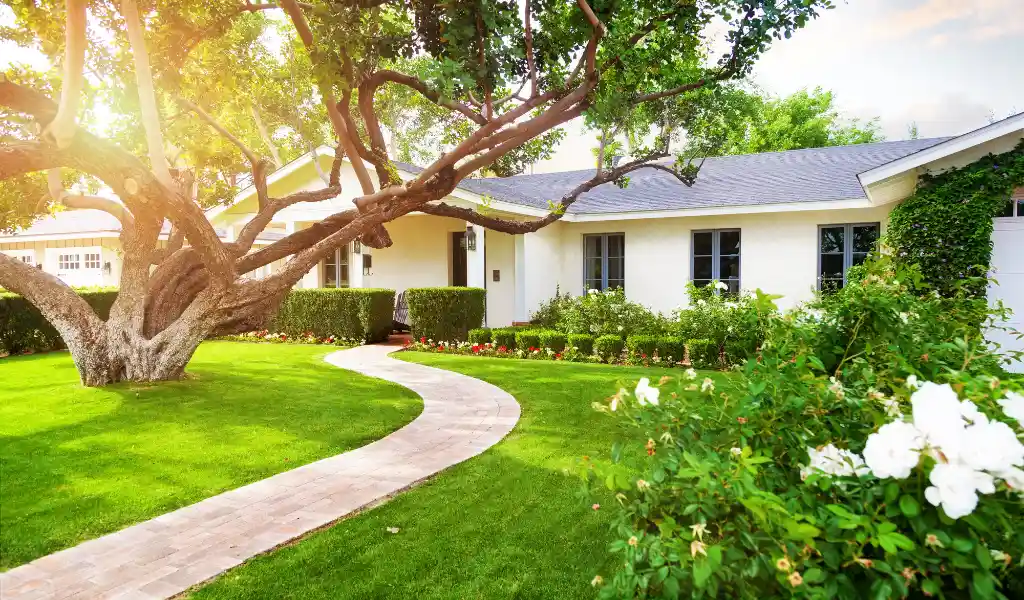 Principal Residence: Qualification, Exemption Rules – Explained